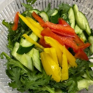 赤白緑のいろどり温野菜サラダ●マヨーグルトソース